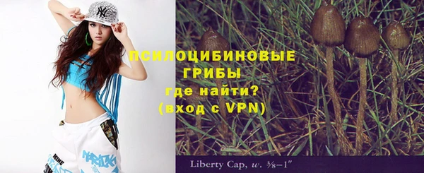 ГАЛЛЮЦИНОГЕННЫЕ ГРИБЫ Новокубанск