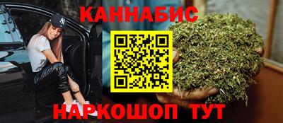 сатива Гагарин