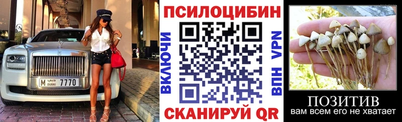 Псилоцибиновые грибы прущие грибы  Кировск 